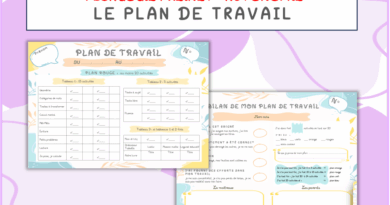 Image illustrant le contenu de l’article.