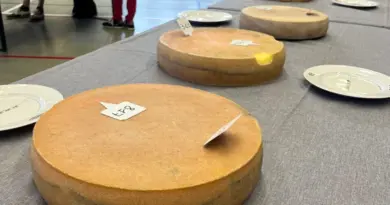 Morbier en fête pour la 34e édition du concours du célèbre fromage