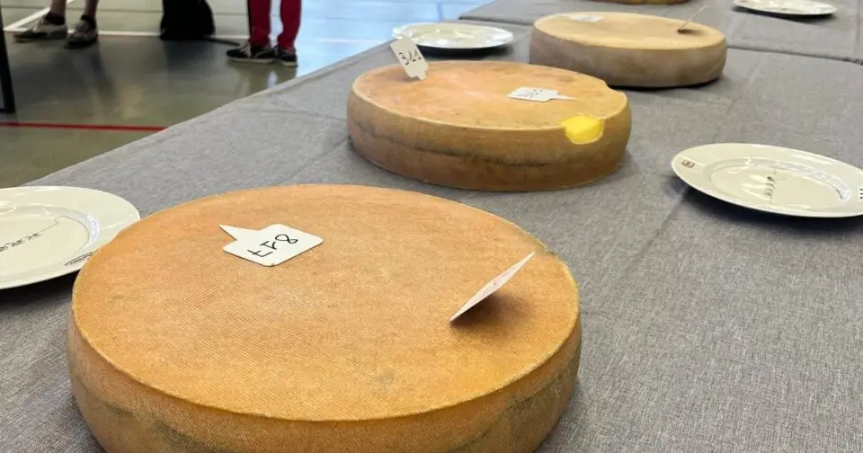 Morbier en fête pour la 34e édition du concours du célèbre fromage