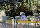Mort d’un enfant de 12 ans, coincé sous un bloc de béton dans le Gard : circonstances du drame, plainte contre la commune… ce que l’on sait
