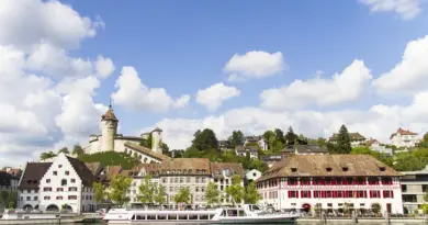 Pays de la Loire, Nantes, Angers, Loire river, castle, vineyard, coast, landscape