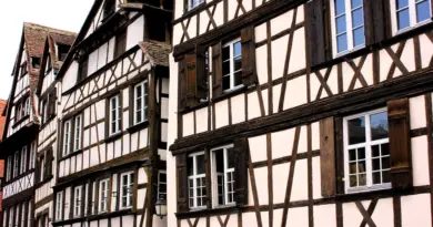 Grand Est, Strasbourg, Reims, vineyard, Alsace, Vosges, forest, cathedral, village