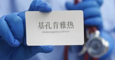 chikungunya fever