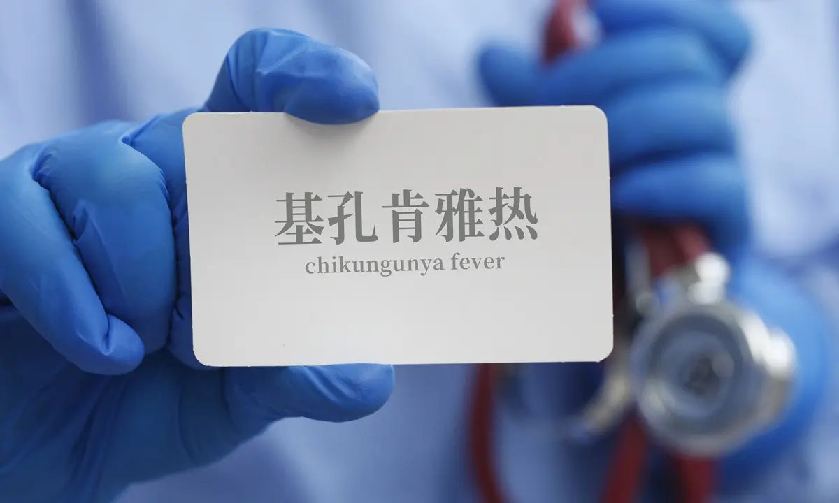 chikungunya fever