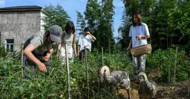 Ni mec, ni stress: les communautés 100% féminines fleurissent en Chine