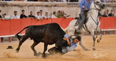 Nîmes célèbre la Camargue avec aux arènes les Olympiades des gardians