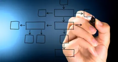 Notre organisation / organigramme