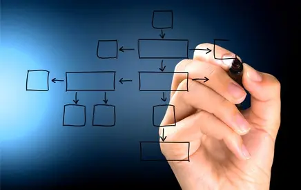 Notre organisation / organigramme