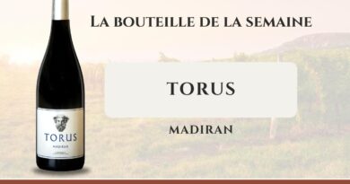 Nous avons dégusté le Torus 2023, un madiran charnu aux notes épicées, parfait avec une tortilla ou une pizza