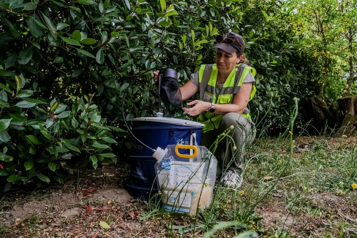 Nouvelle-Aquitaine : la dengue et le chikungunya autochtones s’invitent dans la région : « Ces foyers étaient prévisibles »