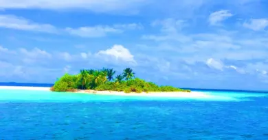 Guadeloupe, Basse-Terre, Pointe-à-Pitre, volcano, beach, palm, waterfall, Creole, island