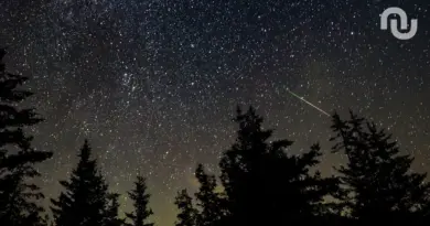 💫 Nuit magique : les images époustouflantes des étoiles filantes des Perséides en 2025 (PHOTOS)