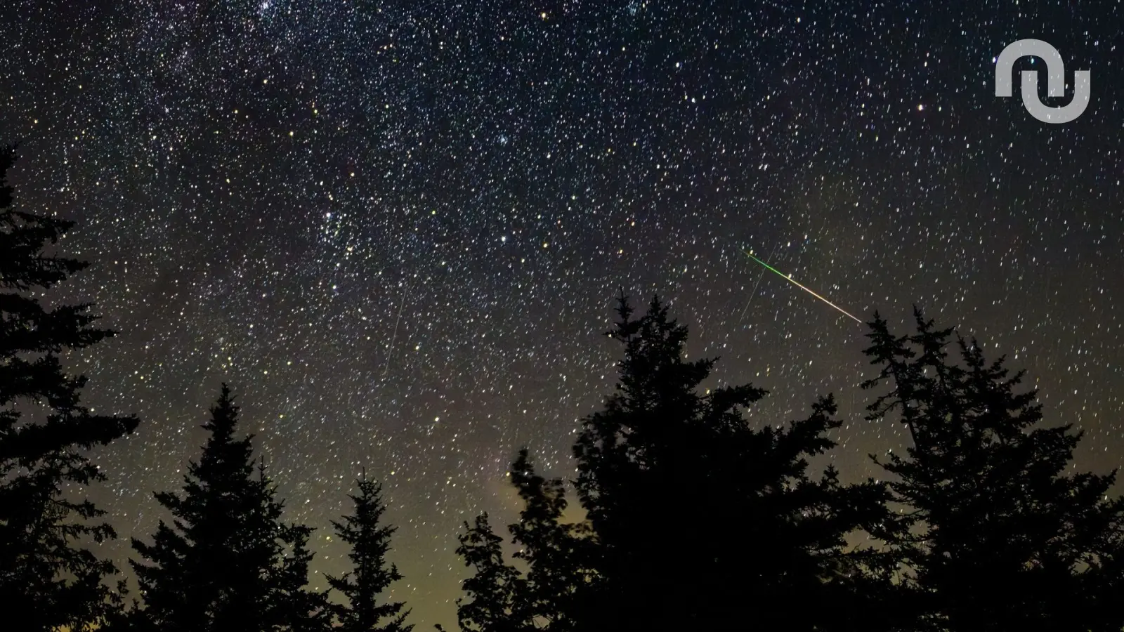 💫 Nuit magique : les images époustouflantes des étoiles filantes des Perséides en 2025 (PHOTOS)