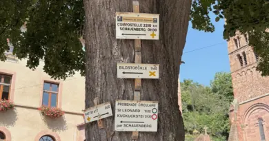 Œnotourisme en Alsace (2): Bienvenue à Gueberschwihr
