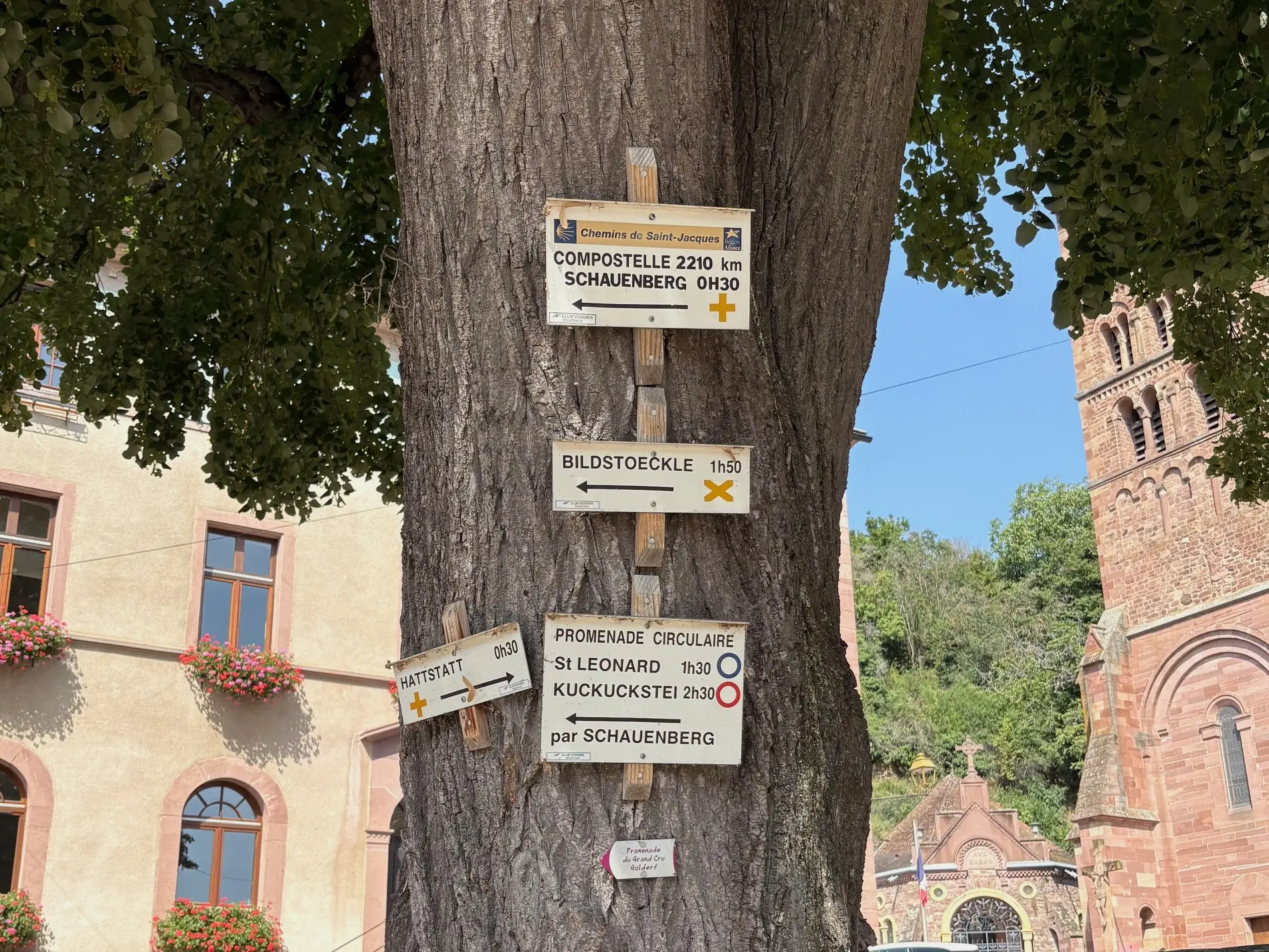 Œnotourisme en Alsace (2): Bienvenue à Gueberschwihr