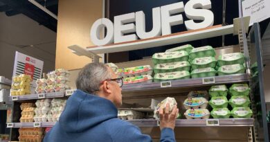 Œufs ukrainiens : trois questions sur les importations dénoncées par les producteurs français