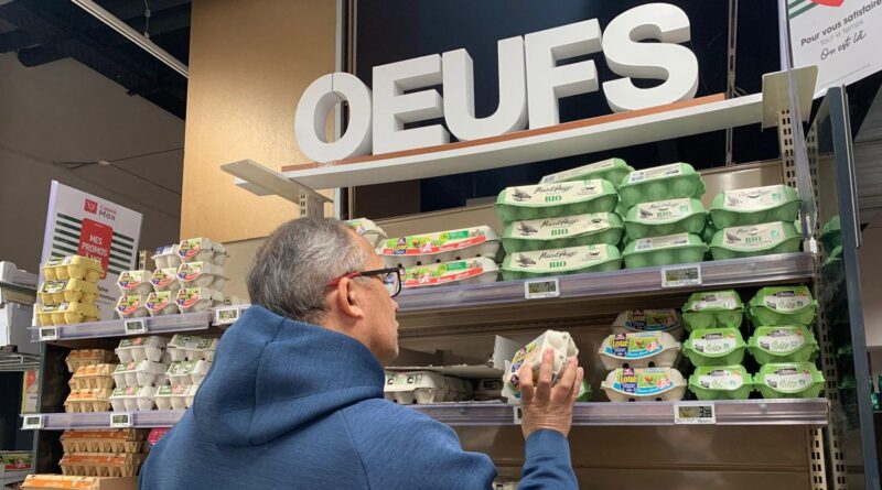 Œufs ukrainiens : trois questions sur les importations dénoncées par les producteurs français