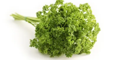 cooking, recipe, food, cuisine, gastronomy, gourmet, chef, kitchen