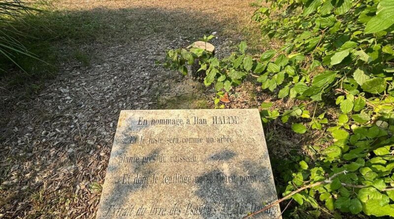 Olivier en hommage à Ilan Halimi tronçonné à Épinay : deux frères jumeaux interpellés grâce à leur ADN