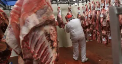 "On a encore de grands défis" : l’abattoir d’Auch poursuit son recrutement pour assurer son avenir