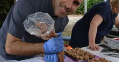 « On ne sait pas bien utiliser le pruneau » : aux Fêtes d’Agen, Cyril Carrini veut éveiller les papilles
