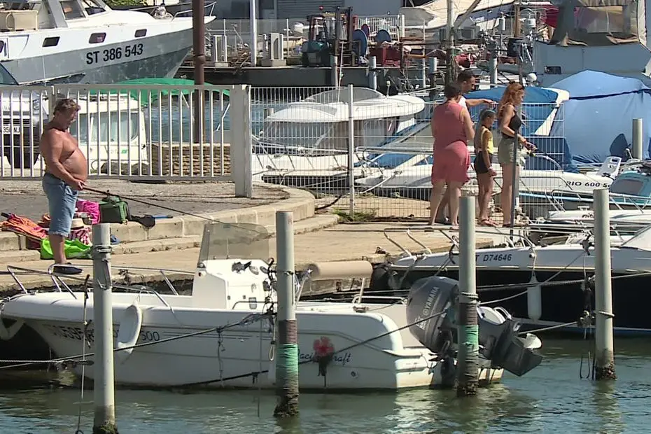 "On n’était pas un danger" : pourquoi après neuf mois de combat, la pêche est à nouveau autorisée dans le port de cette célèbre station balnéaire