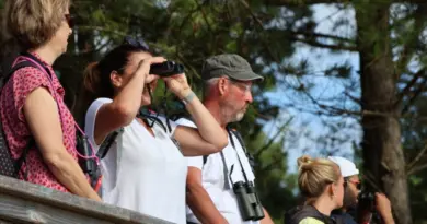 « On se sent comme des VIP » : Le succès des visites du soir au Parc du Marquenterre