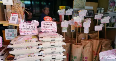 "On s'est trompé, ça ne fait aucun doute" : le gouvernement japonais reconnaît sa responsabilité dans la crise du riz