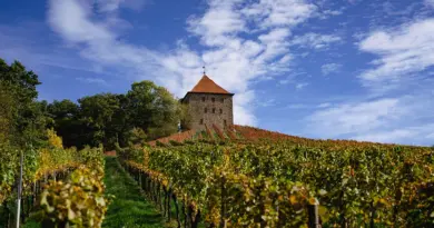 Bourgogne-Franche-Comté, Dijon, Besançon, vineyard, forest, river, mountain, village