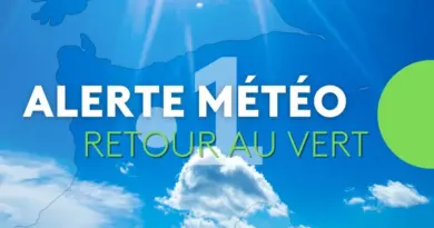 Onde tropicale n°20 : retour au vert en Guadeloupe et dans les îles du Nord