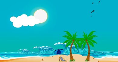 Martinique, Fort-de-France, beach, volcano, palm, rainforest, Creole, boat, island