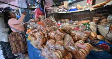 Pain, essence, dollars: la Bolivie à sec à l'approche de la présidentielle