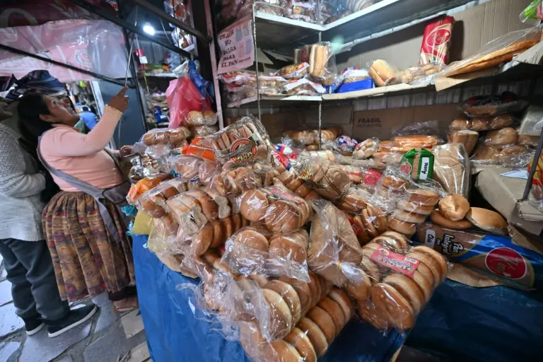 Pain, essence, dollars: la Bolivie à sec à l'approche de la présidentielle