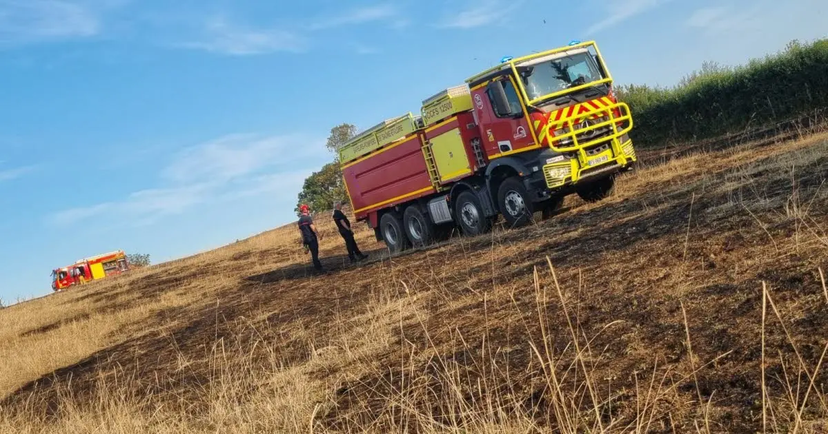 Palinges. Un hectare brûlé après un feu de déchets verts