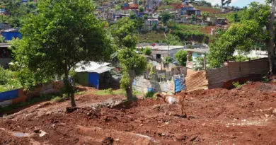 Paludisme : douze cas autochtones à Mayotte depuis le début de l’année, une première en cinq ans