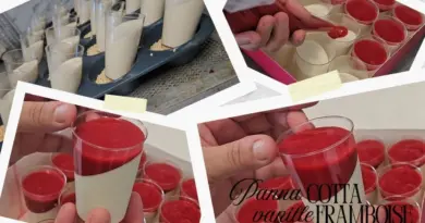 Panna Cotta Vanille & Framboise – Dessert gourmand et élégant