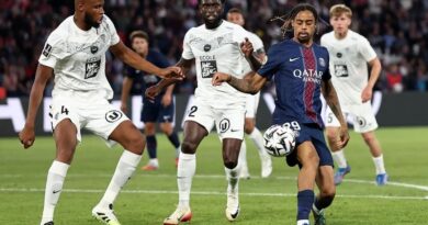 Paris SG - Angers Sco. Belkebla fautif, Camara intéressant : les notes des Angevins après la
