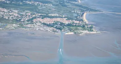 « Pas de limite d’âge ni de diplôme demandé » : l’île d’Oléron lance un appel à candidature pour réhabiliter ses marais salants