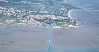 « Pas de limite d’âge ni de diplôme demandé » : l’île d’Oléron lance un appel à candidature pour réhabiliter ses marais salants
