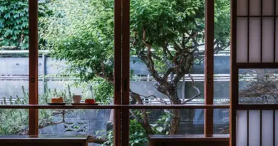 Paso : le goût du café du Honduras dans une ruelle cachée de Kamakura