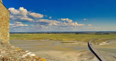 Normandie, Caen, Rouen, Mont-Saint-Michel, cliff, beach, cow, landscape, D-Day