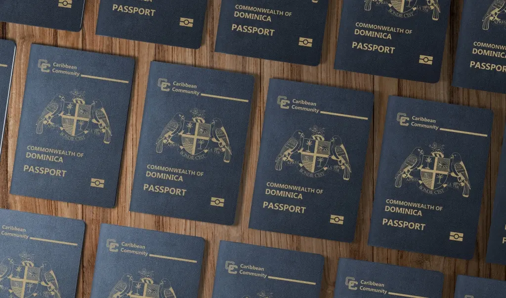 Passeport contre propriété : les Caraïbes séduisent les riches Américains en quête d'une échappatoire