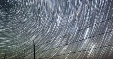 Perséides 2025 : origine, mythologie et quand voir la pluie d'étoiles