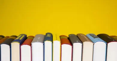 education,school,learning,student,teacher,classroom,university,books,knowledge,study