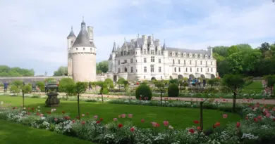Pays de la Loire, Nantes, Angers, Loire river, castle, vineyard, coast, landscape