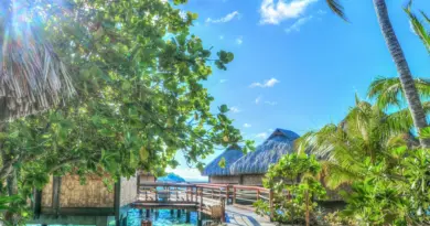 Polynésie française, Tahiti, Bora Bora, lagoon, beach, palm, coral, overwater, island