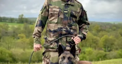 Crédit : Gendarmerie de Polynésie française.