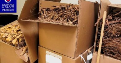 Les douanes de Grenoble saisissent plus de 4 tonnes de tabac lors d'une opération "coup de poing" en périphérie de Grenoble