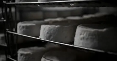 Plus de 40 lots de fromages des marques Le Berger, Le Lion, Saveur d’antan et Le Petit Grignoteur rappelés pour suspicion de Listeria