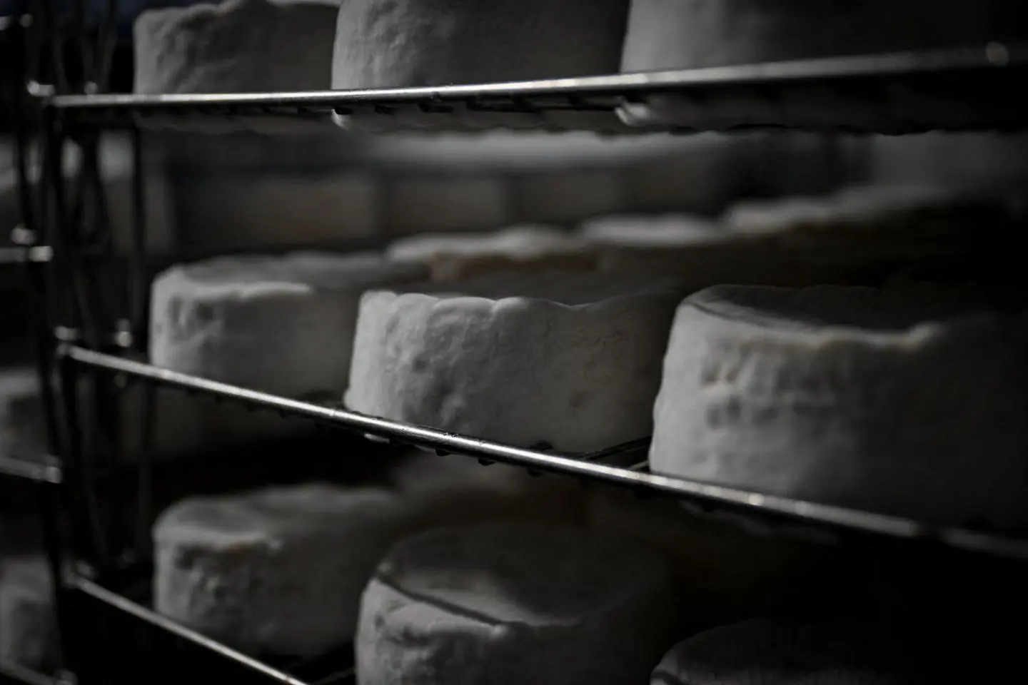 Plus de 40 lots de fromages des marques Le Berger, Le Lion, Saveur d’antan et Le Petit Grignoteur rappelés pour suspicion de Listeria